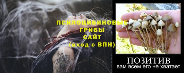 Альфа ПВП Алексеевка